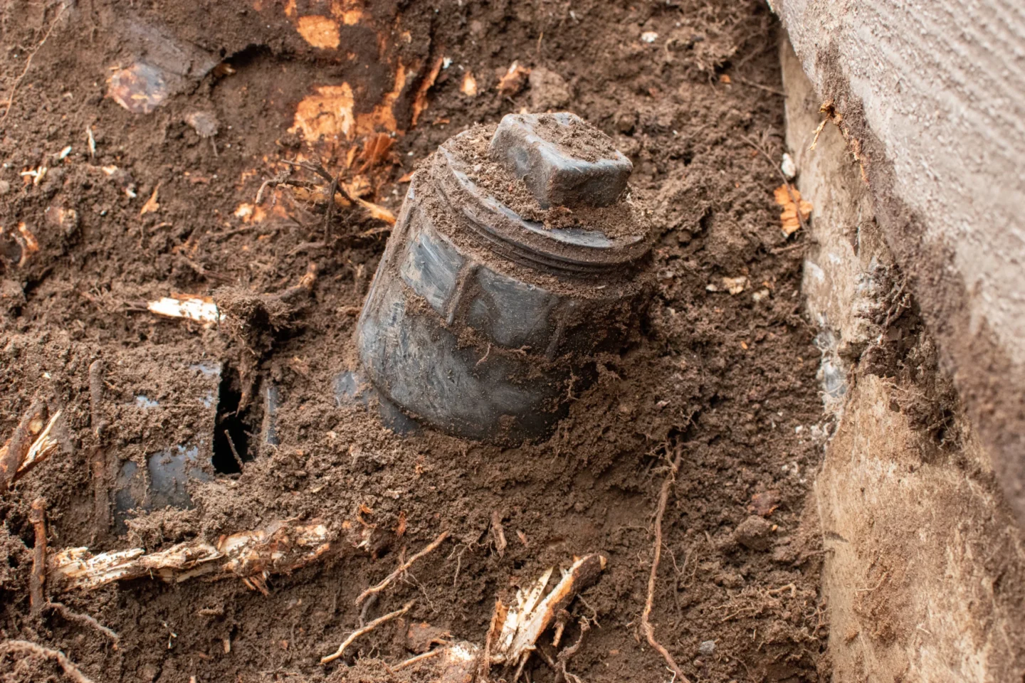 Tree root sewer line repair summer St. Clair County, IL