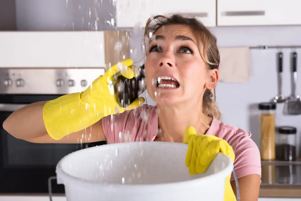 pipes leaking in kitchen