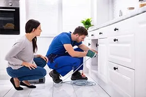 plumbing odor indicator edwardsville illinois