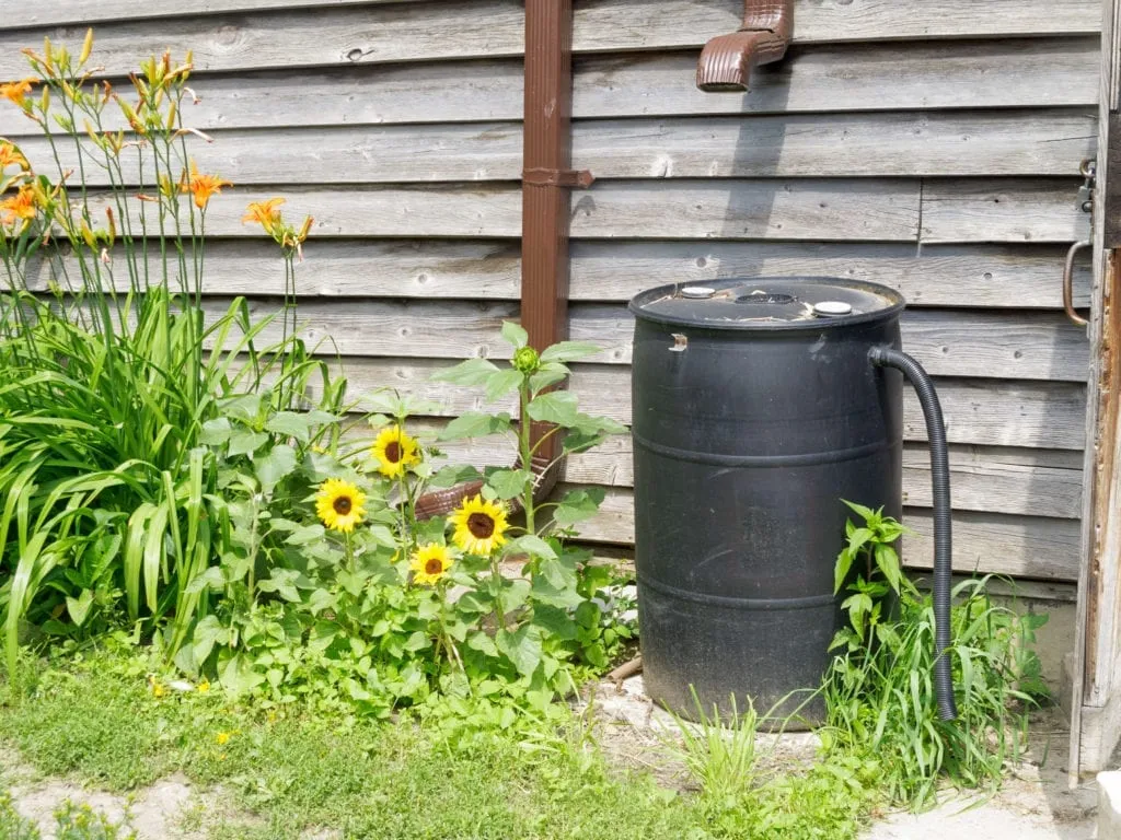 rain barrel edwardsville il