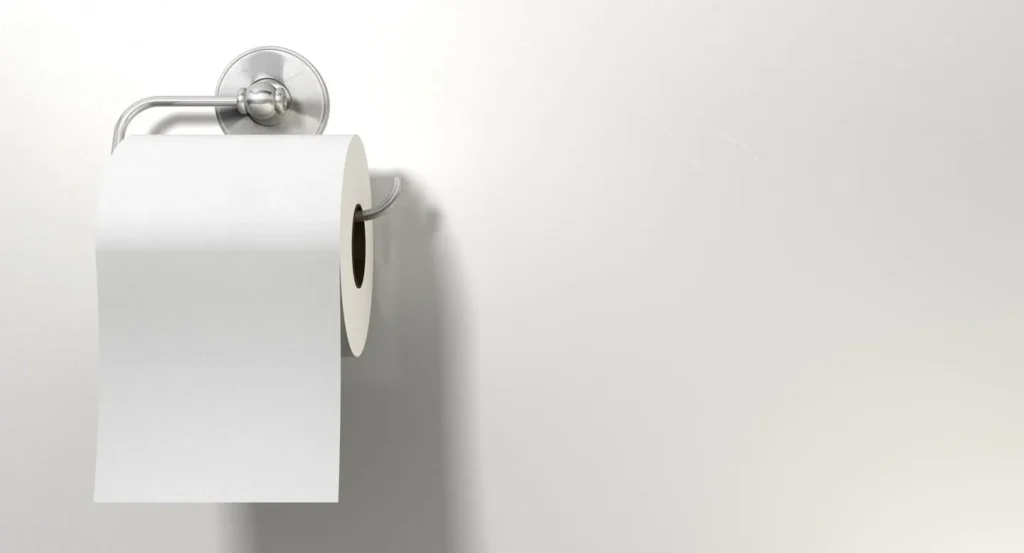 toilet paper plumbing tips