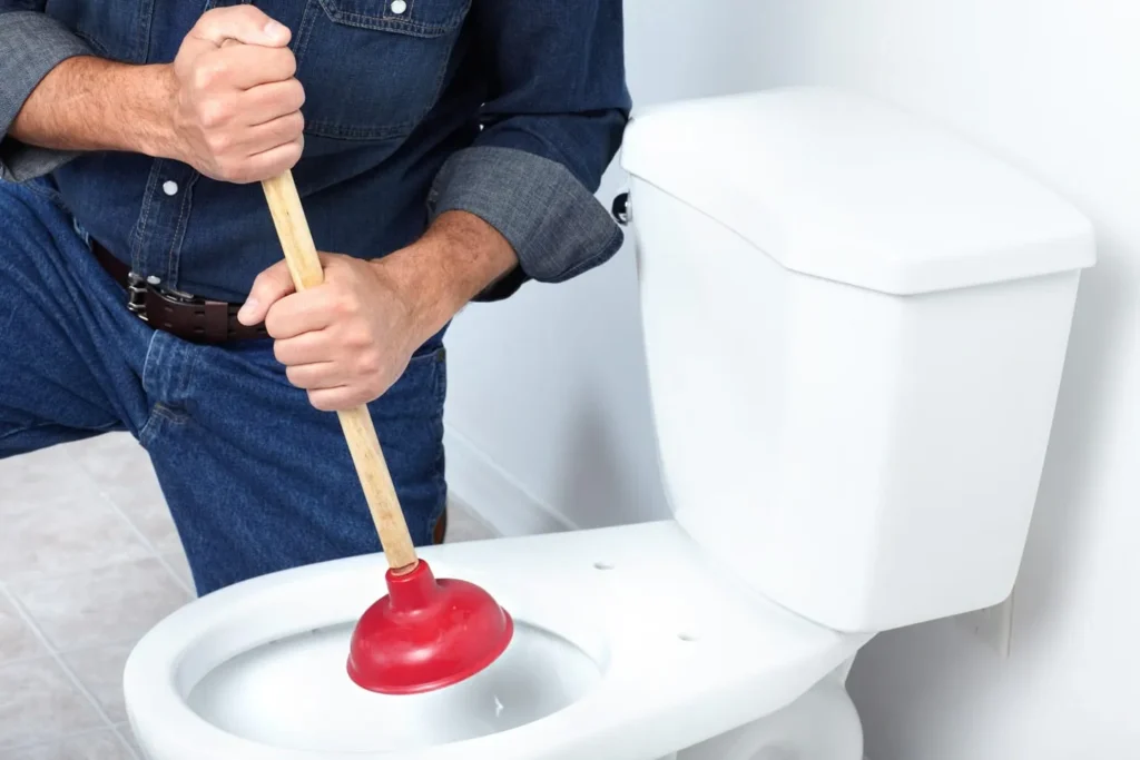 plungers for toilet and drain clogs